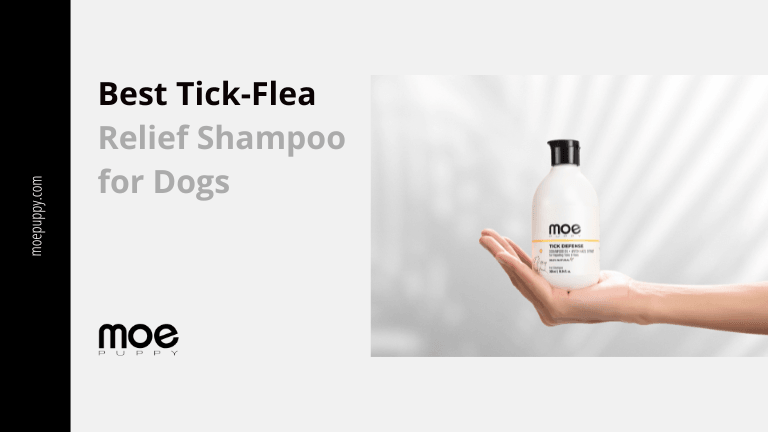 Best Tick Shampoo for Dog That Relieves Him from Tick and Fleas - Moe Puppy