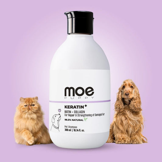 Keratin+ - Moe Puppy