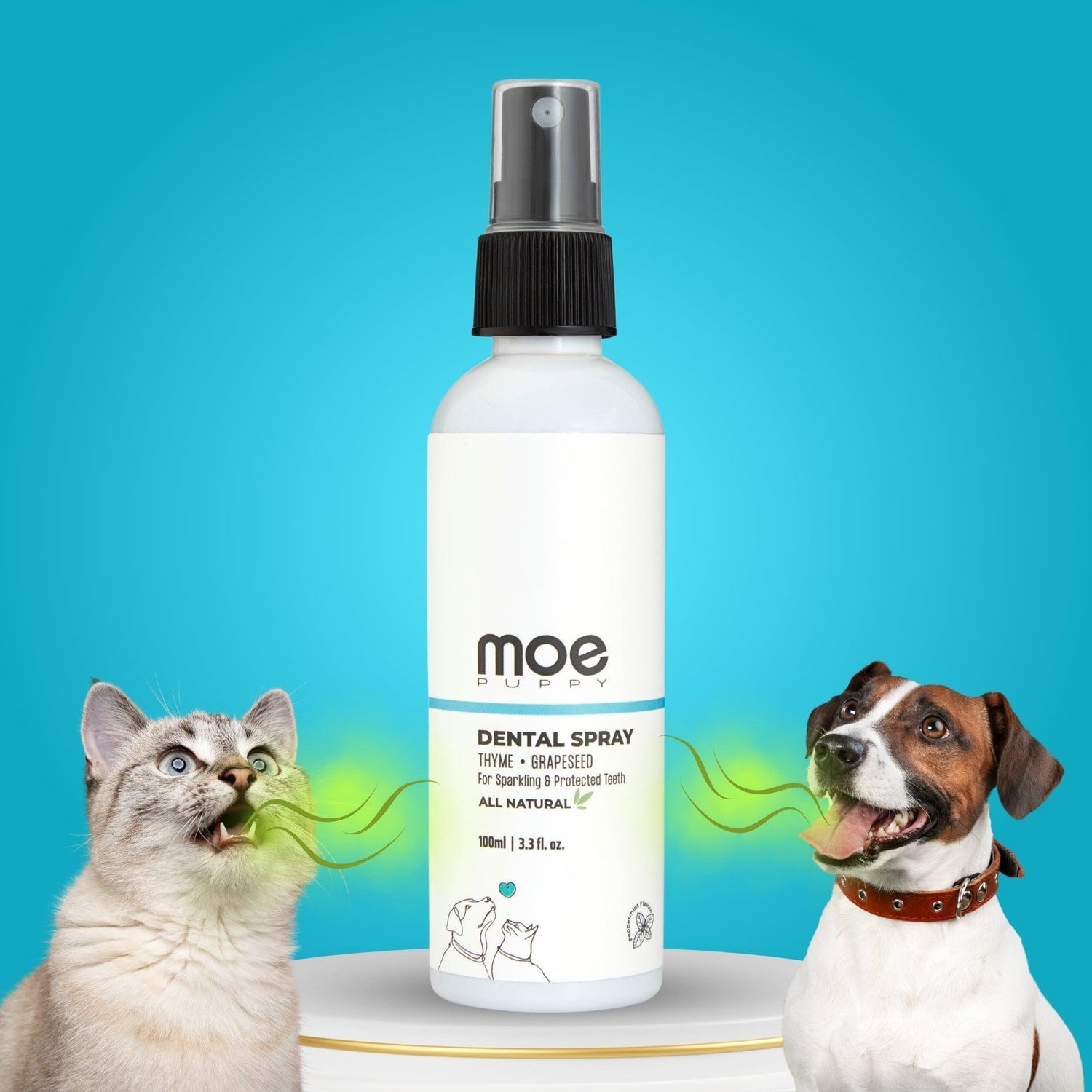 Dental Spray 100ml - Moe Puppy