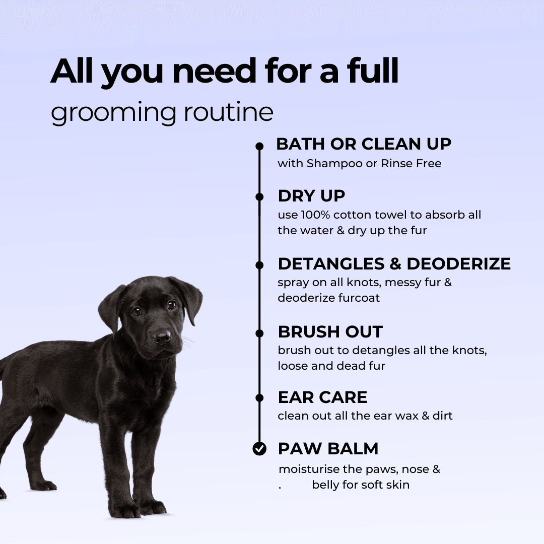 7 in 1 Grooming Kit - Moe Puppy