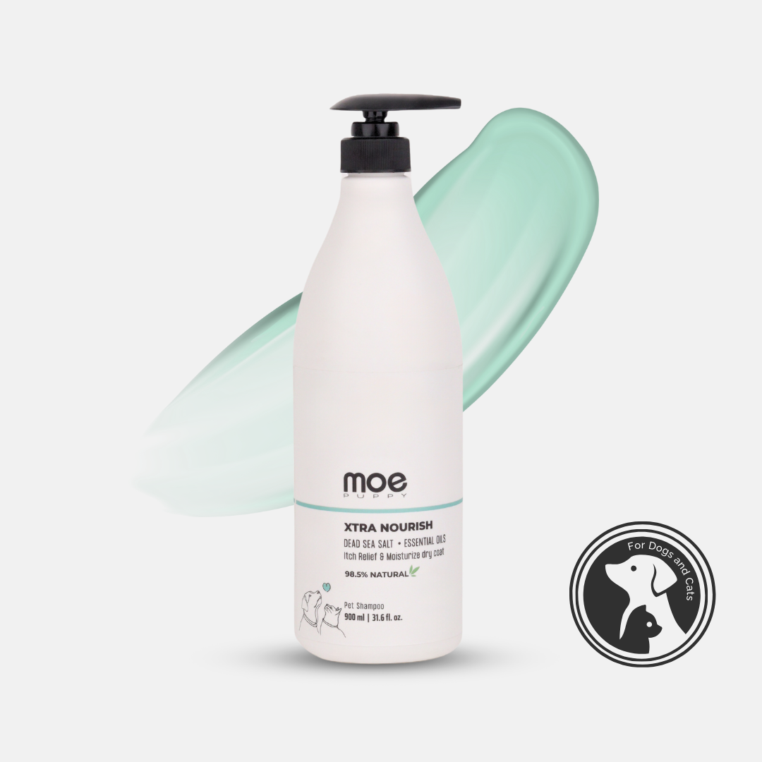 Xtra Nourish Medicated Shampoo for Dogs & Cats