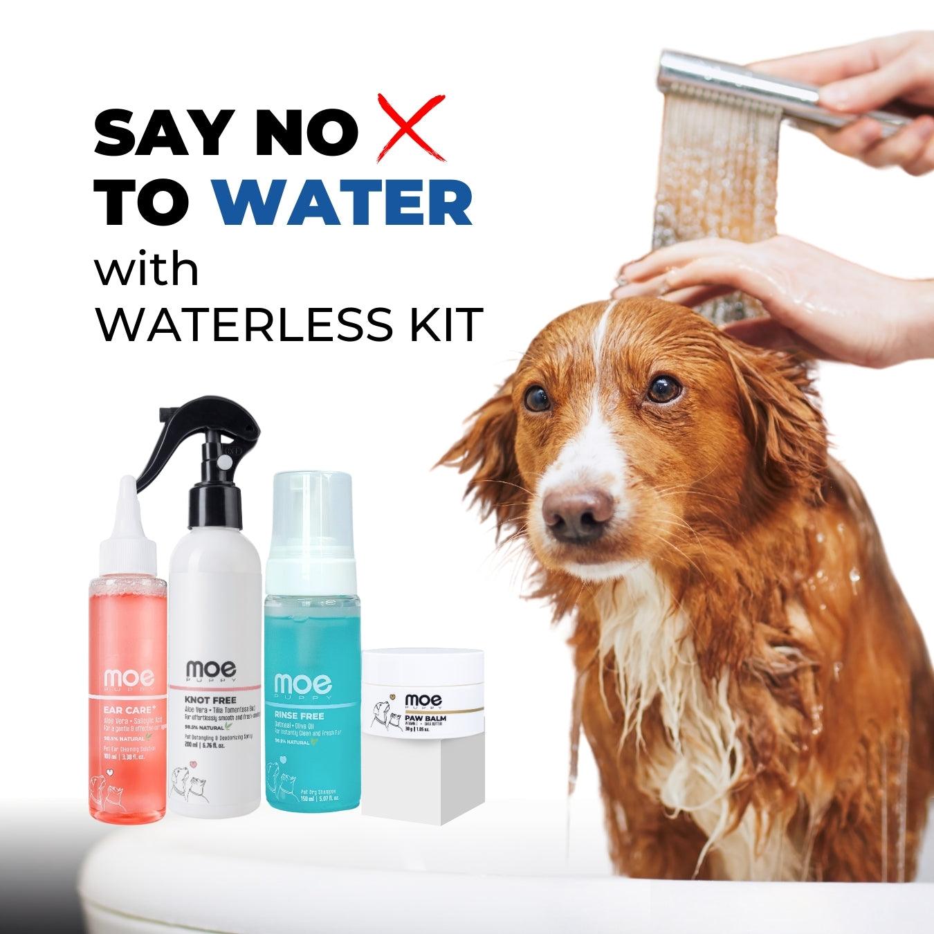 Waterless Kit - Moe Puppy