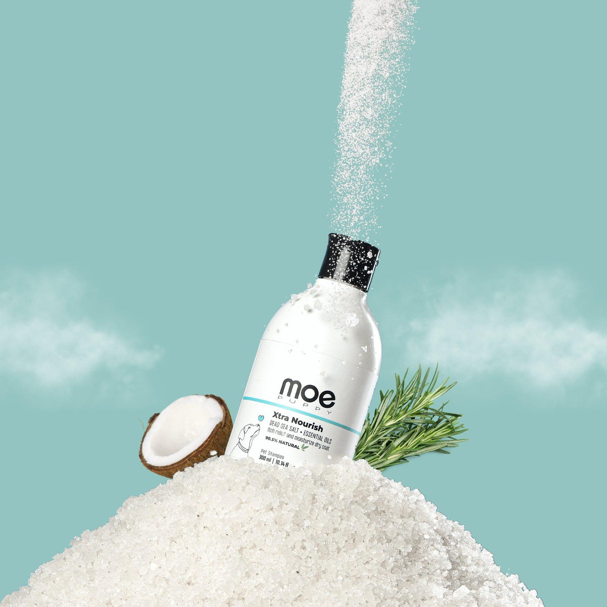 Xtra Nourish