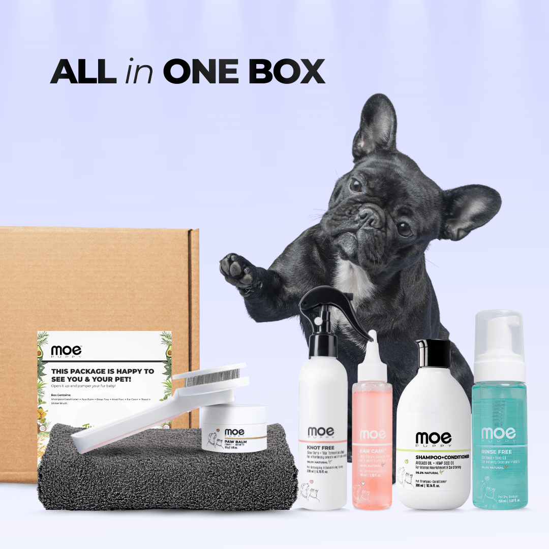 7 in 1 Grooming Kit - Moe Puppy