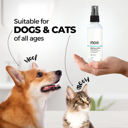 Dental Spray 100ml - Moe Puppy