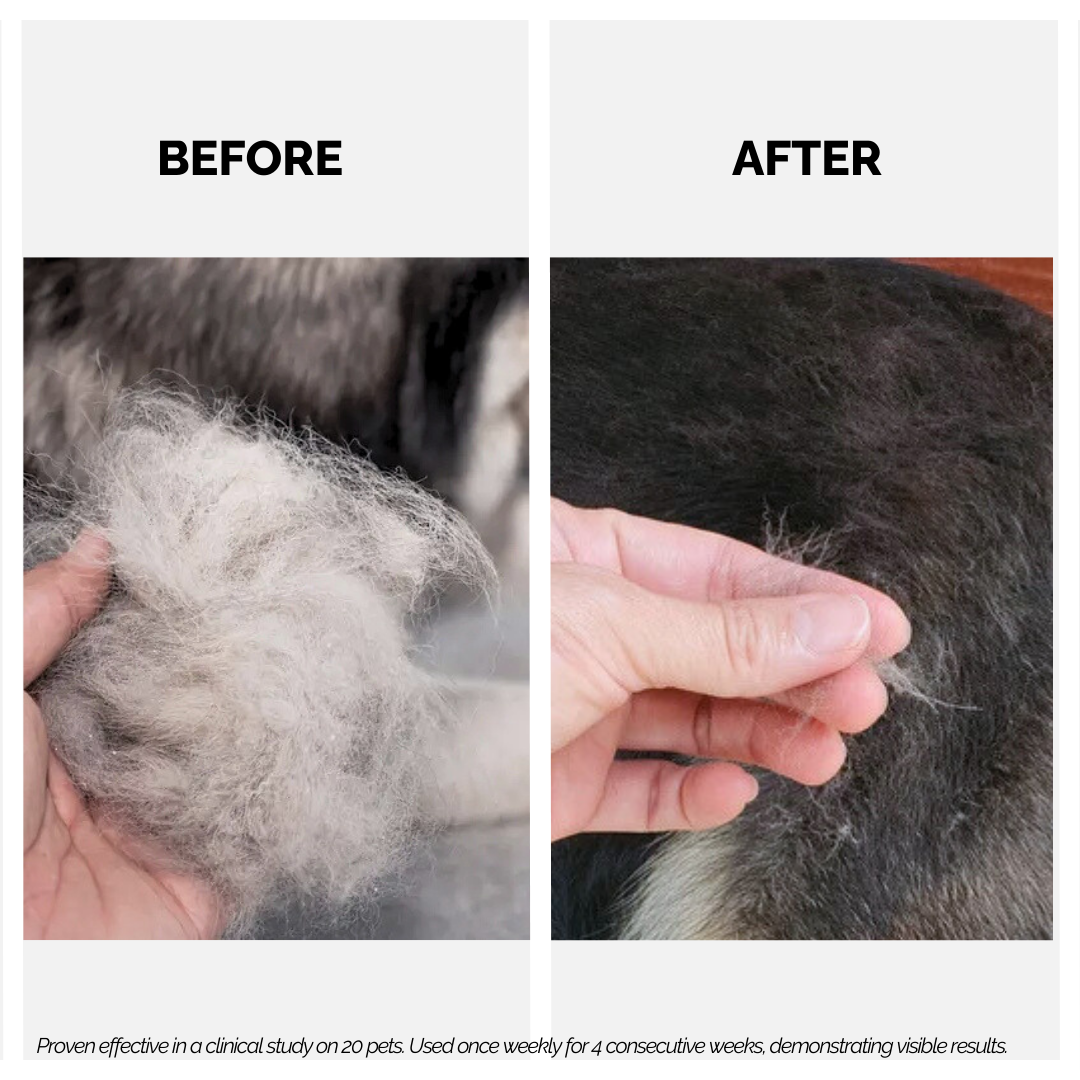 Keratin+ Hairfall Shampoo for Dogs & Cats