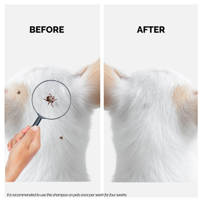 Tick Defense - Tick Free Shampoo for Dogs and Cats