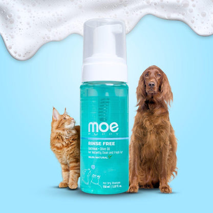 Rinse Free Dry Shampoo - Moe Puppy