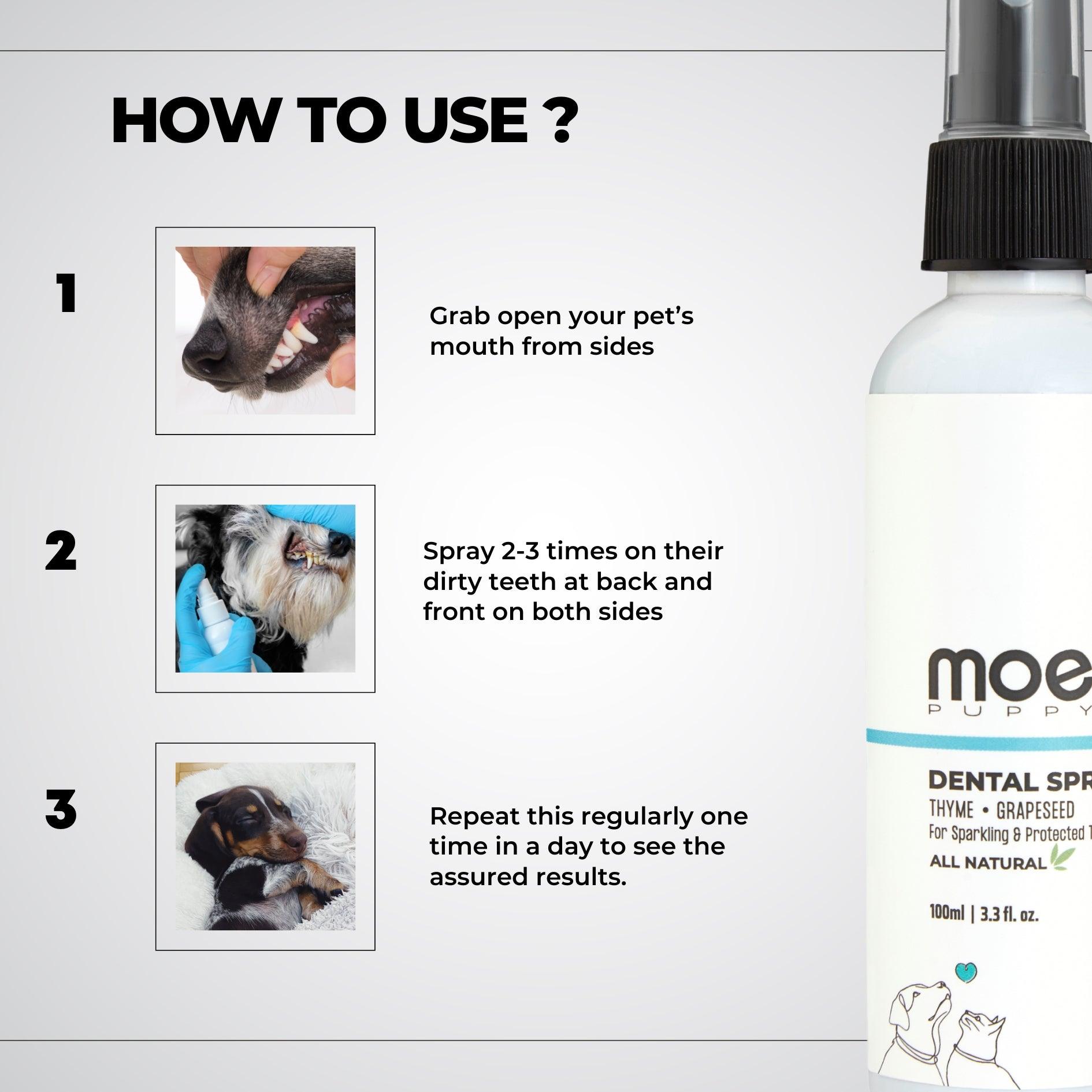 Dental Spray 100ml - Moe Puppy