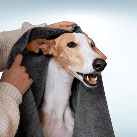 Pet Towel - 100% Pure Cotton - Moe Puppy